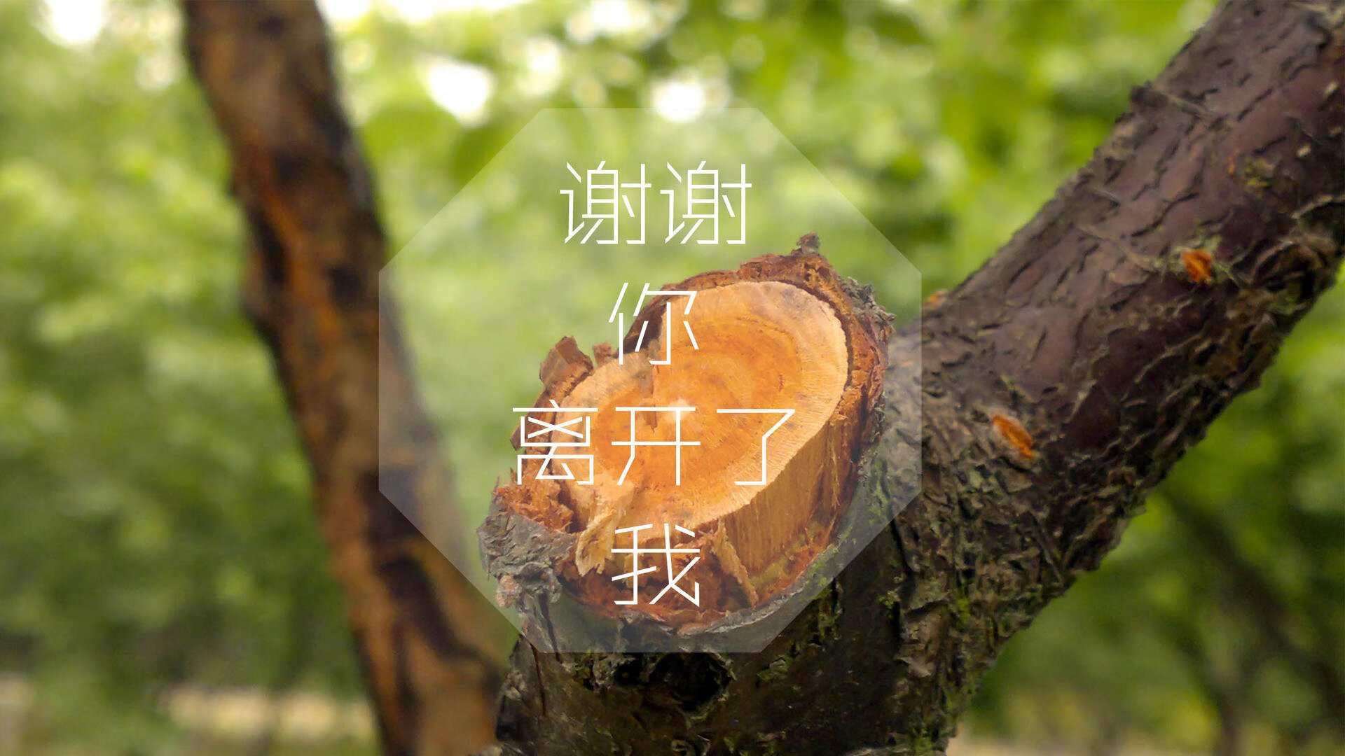 2024全明星赛最值得期待的亮点都在这里！，2o21全明星赛