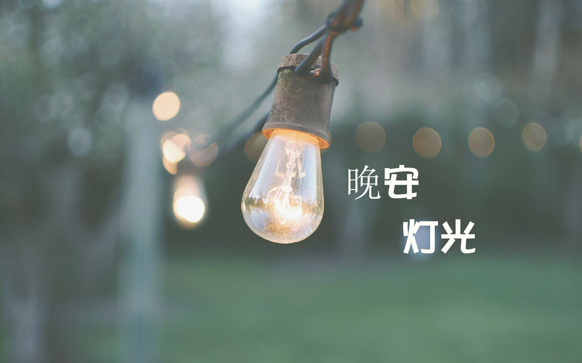 _NBA季前赛：新秀表现令人期待_，nba季前赛新规则