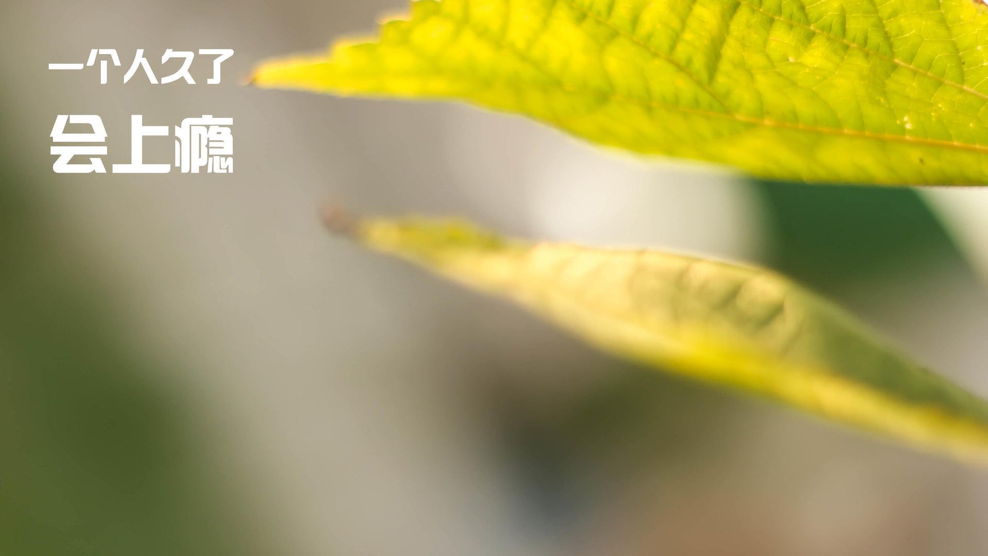 _青少年冲刺跑：激发青春的奔跑梦想_，青少年跑步比赛