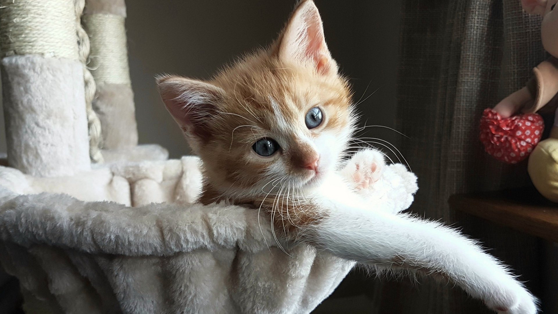 _魔术队士气大振，逆转强敌获胜_，魔术队百度百科