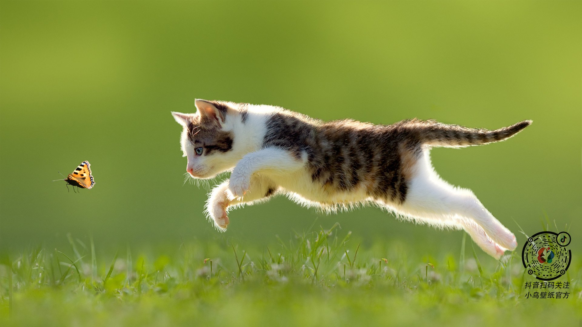 “法甲实力悬殊，场面火爆引人关注”，法甲强队实力分析