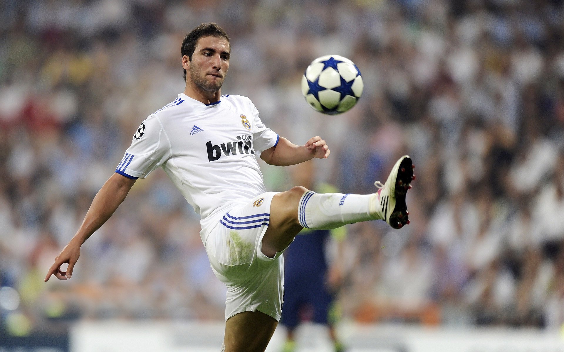 《Xiaohu：领军者的荣耀征途》，领军者彩蛋