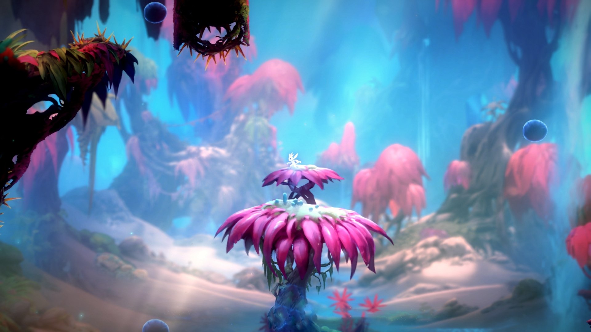 《Xiaohu：领军者的荣耀征途》，领军者彩蛋