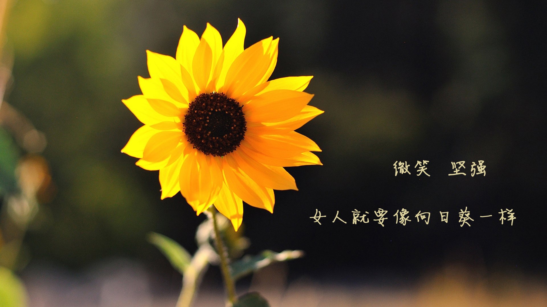 【球桌保养】专业人士教你延长台球桌使用寿命,台球桌的保养方法