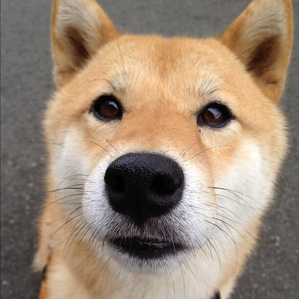 中国足球产业链绿色化发展新篇章，足球产业规模